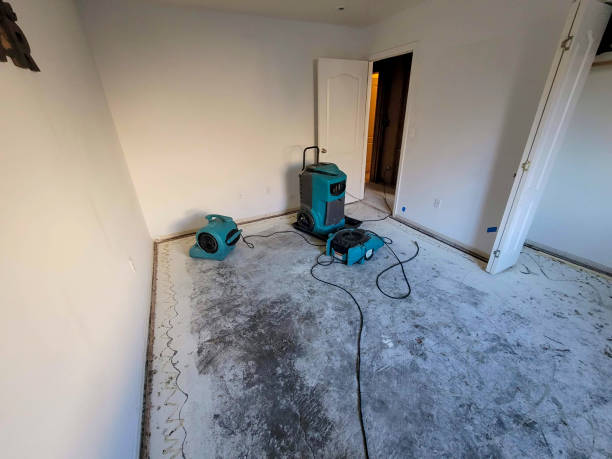 Best Flood damage cleanup  in Wildewood, MD