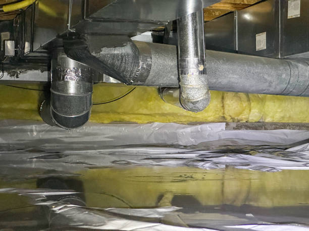 Best Mold removal after water damage  in Wildewood, MD