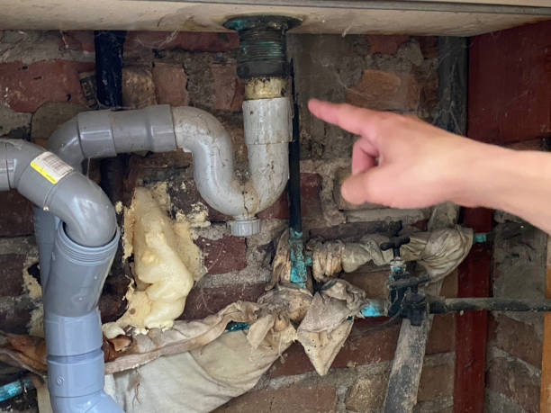 Best Water damage contractors near me  in Wildewood, MD