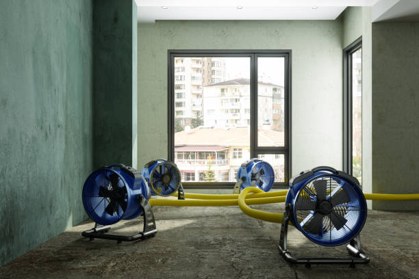 Best Water damage mitigation services  in Wildewood, MD