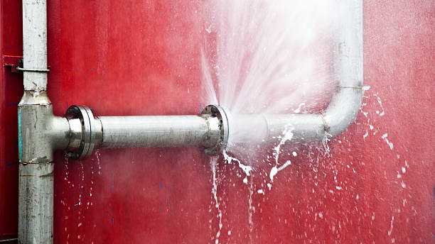 Best Basement water damage restoration  in Wildewood, MD