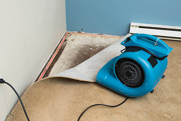 Best Flooded house restoration  in Wildewood, MD